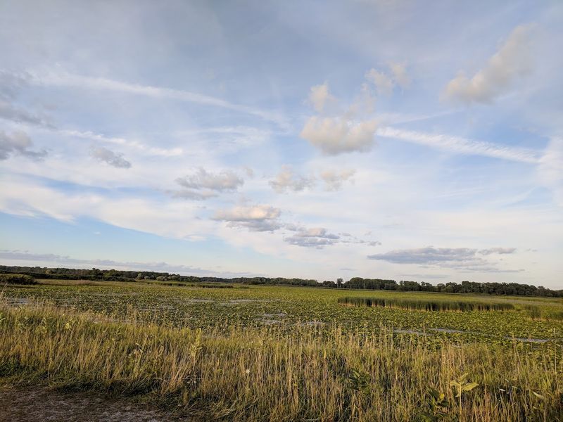 Where It All Begins: Location and First Impressions