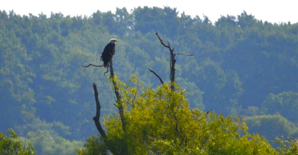 This Michigan Wildlife Sanctuary Is a Dream Come True for Nature Lovers