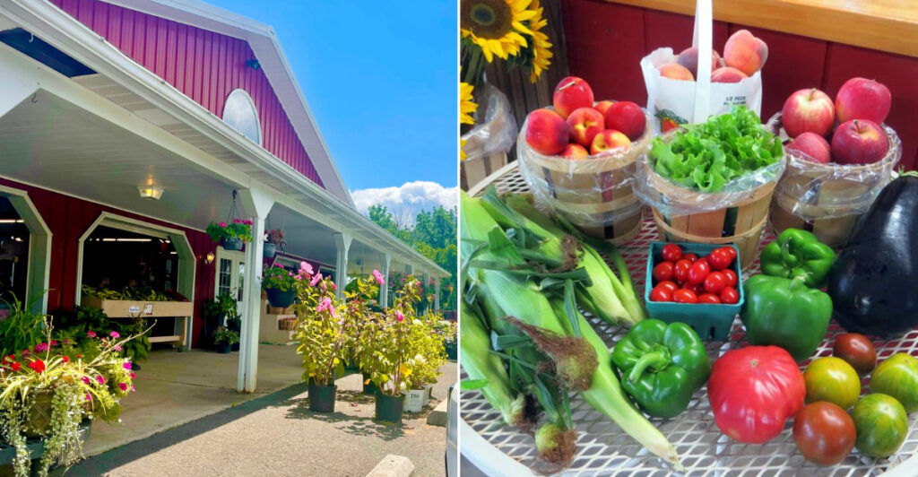 This New Jersey Farm Market Might Be the Freshest Hidden Gem in the Garden State