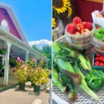 This New Jersey Farm Market Might Be the Freshest Hidden Gem in the Garden State