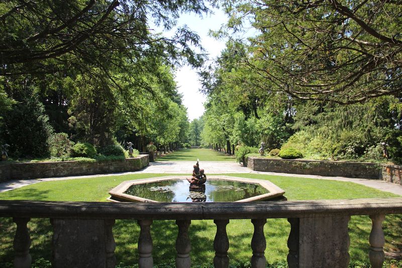 Where to Find This Botanical Treasure