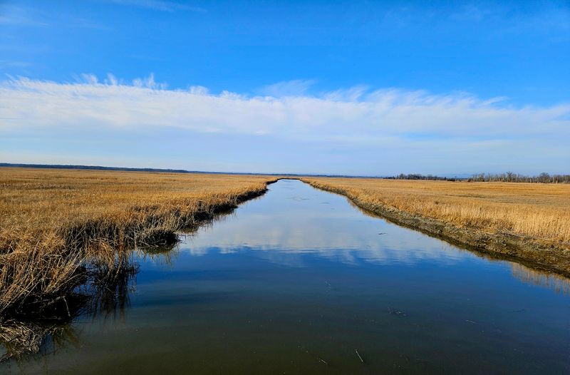 Where You Will Find It