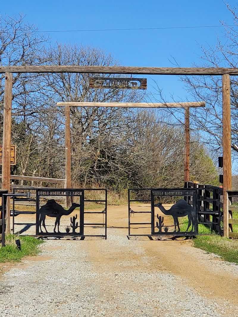 Where Exactly You Will Find This Place