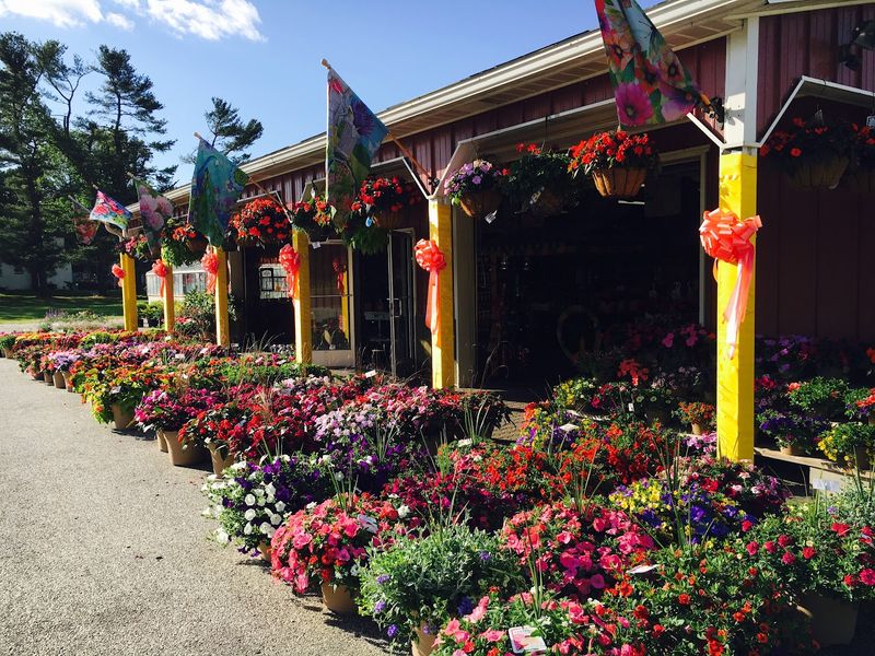 Getting There and Key Details