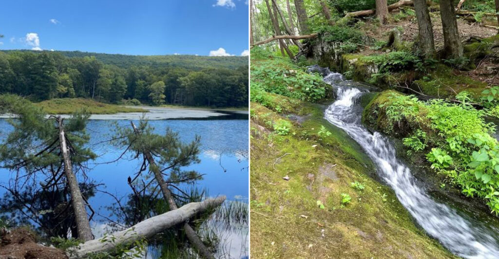 This Peaceful 2.8-Mile Forest Loop Has Stepping-Stone Waterfalls and a Glassy Lake