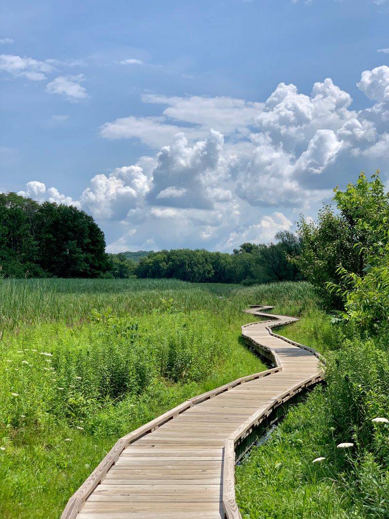 Marsh Magic In A Mile