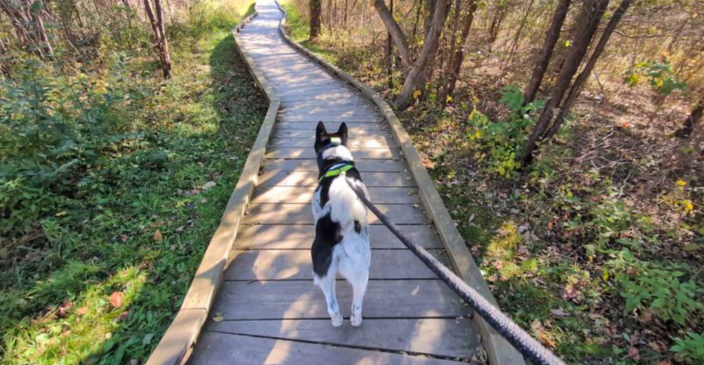 This Picturesque New Jersey 1-Mile Walk Is the Kind of Trail You’ll Be Dreaming About for Days