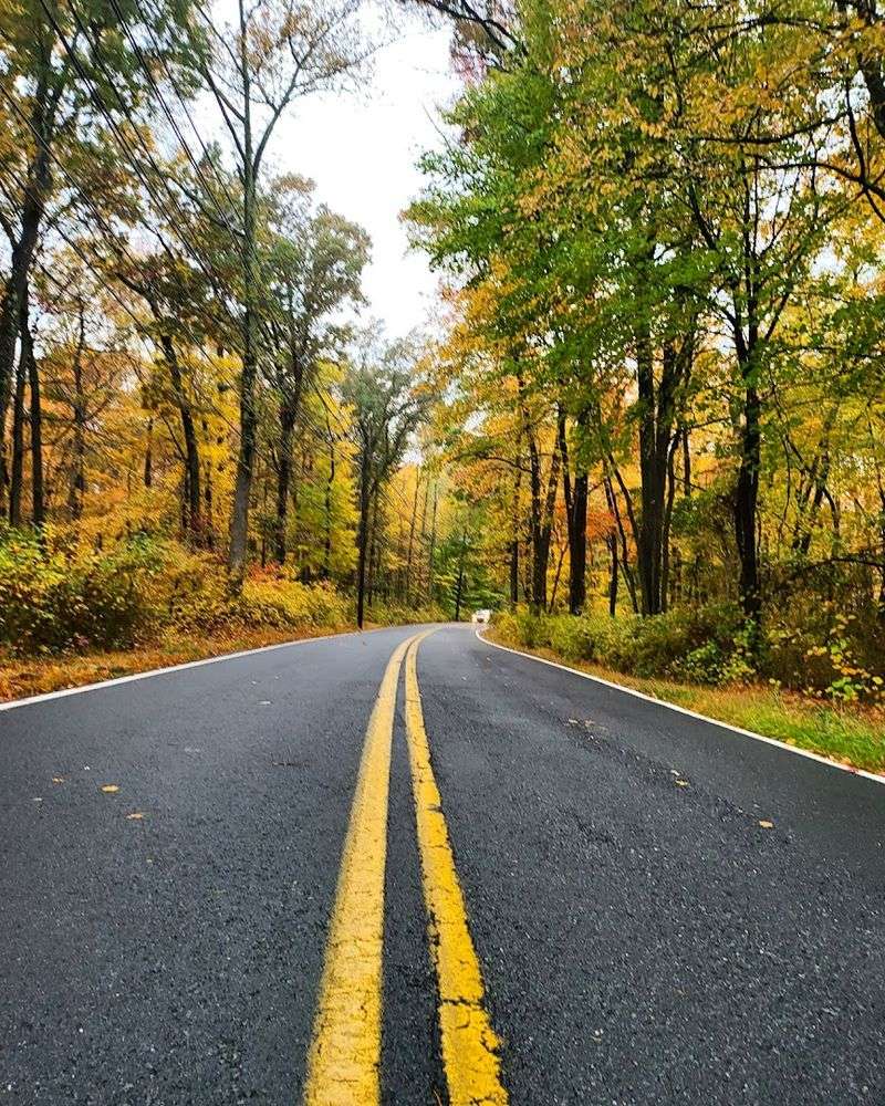 Finding Your Bearings on Main Street