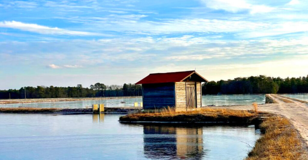 This Scenic Wetland Trail In New Jersey Is A Peaceful Escape For Nature Lovers