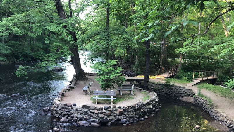 Where Exactly This Park Hides