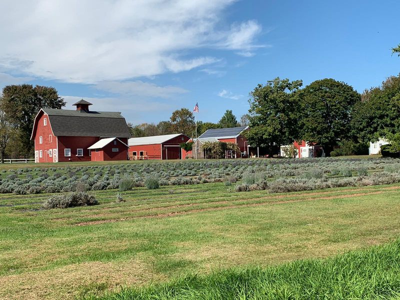 Essential Details and Exact Address