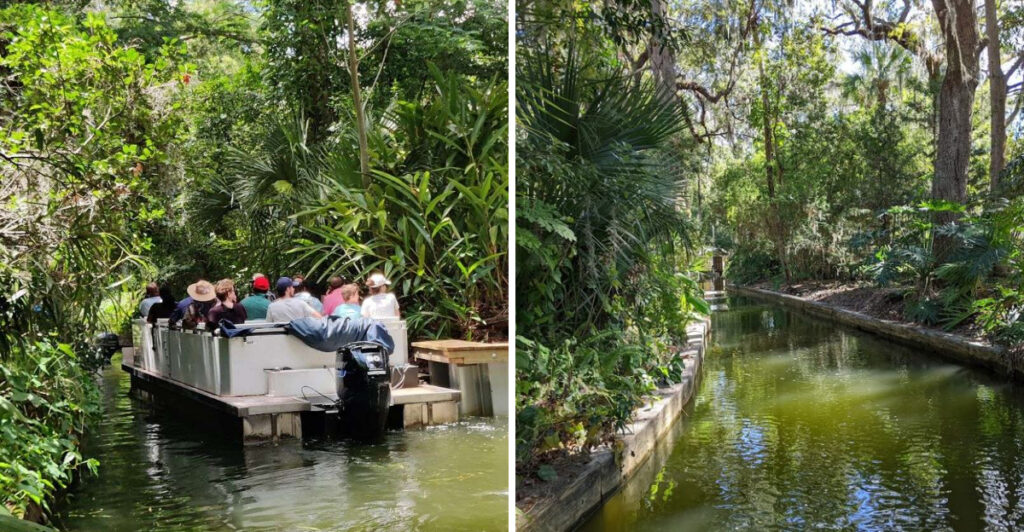 This Surreal Florida Canal Looks Like It Belongs In Another World