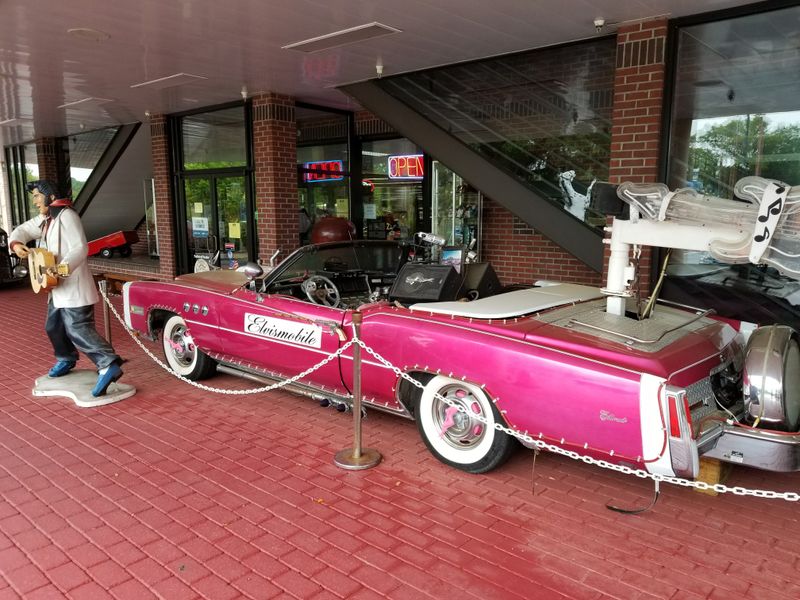 Where To Find It And When To Go