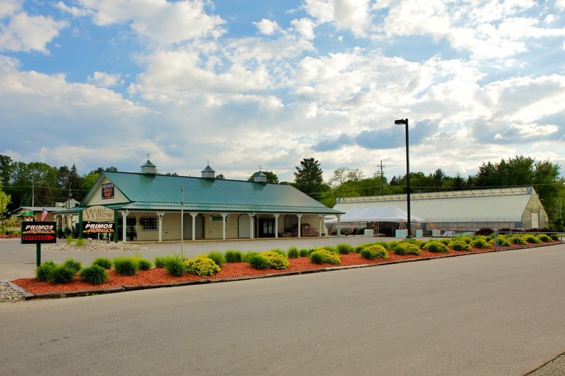 Where You Will Find It: Address, Location, and First Impressions