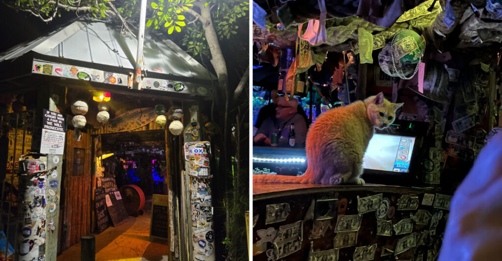This Tiny Indian Shores Dive Bar Might Be the Weirdest Spot on Florida’s Gulf Coast