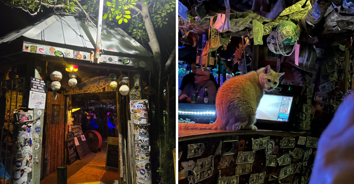 This Tiny Indian Shores Dive Bar Might Be the Weirdest Spot on Florida’s Gulf Coast