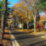 This Tiny Wisconsin Village by Lake Mendota Is One of Madison’s Best-Kept Secrets