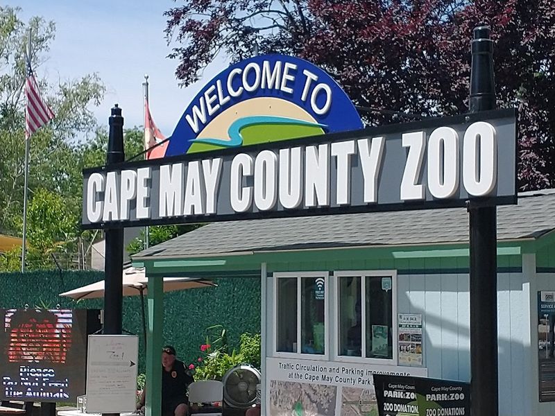 Where You Will Find This Free Zoo
