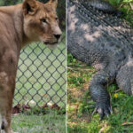 This Top-Ranked Free Zoo in New Jersey Feels Like a Full-Day Vacation