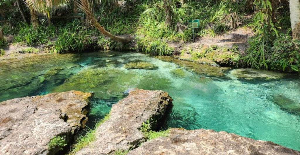 This Under-The-Radar Florida Spring Is Perfect For A Laid-Back Escape