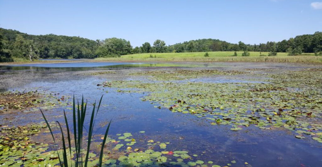 This Underrated New Jersey State Park Is a Peaceful Secret Even Locals Rarely Stumble Across It