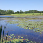 This Underrated New Jersey State Park Is a Peaceful Secret Even Locals Rarely Stumble Across It