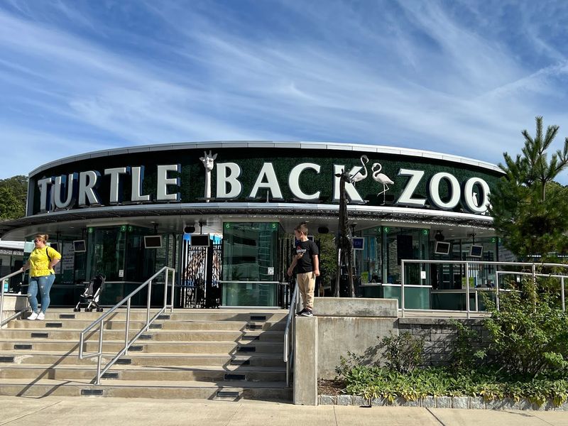 Where It All Begins: Address, Location, and Setting