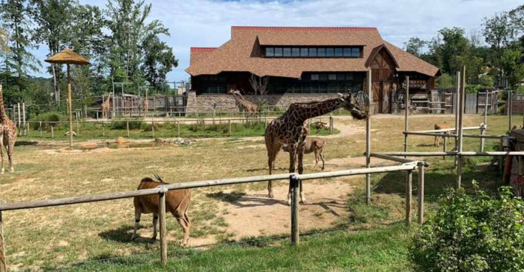 This West Orange Zoo-Restaurant Turns a Regular Outing Into an All-Day Adventure