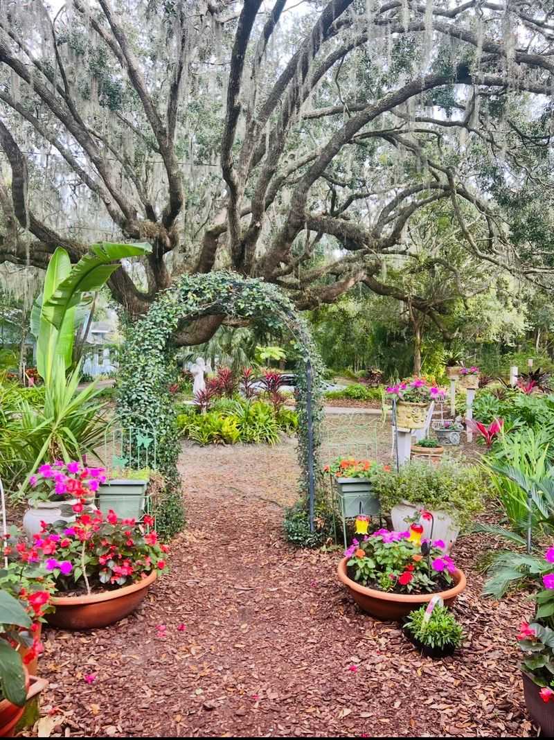 A Garden Path That Whispers Welcome