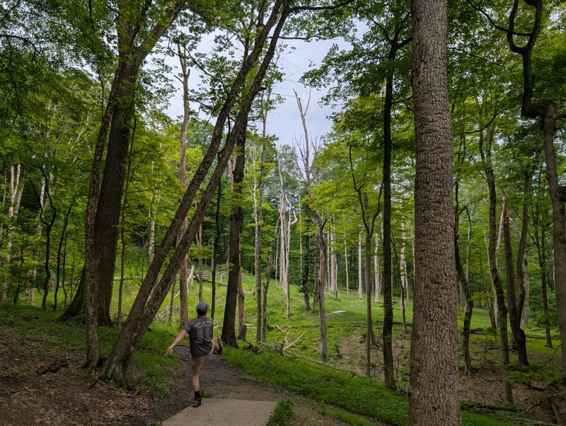 Disc Golf With Views