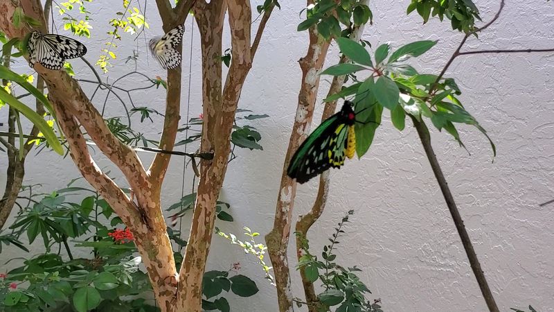 Final Loop and Slow Goodbye