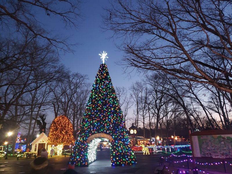 The Fantasy of Lights: A Winter Visit Worth Making