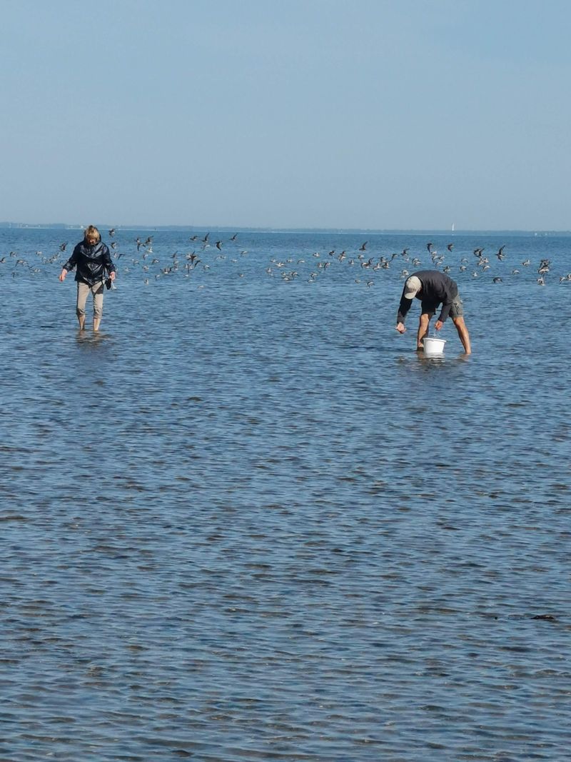 It's not just for cars - walking and cycling can be even better