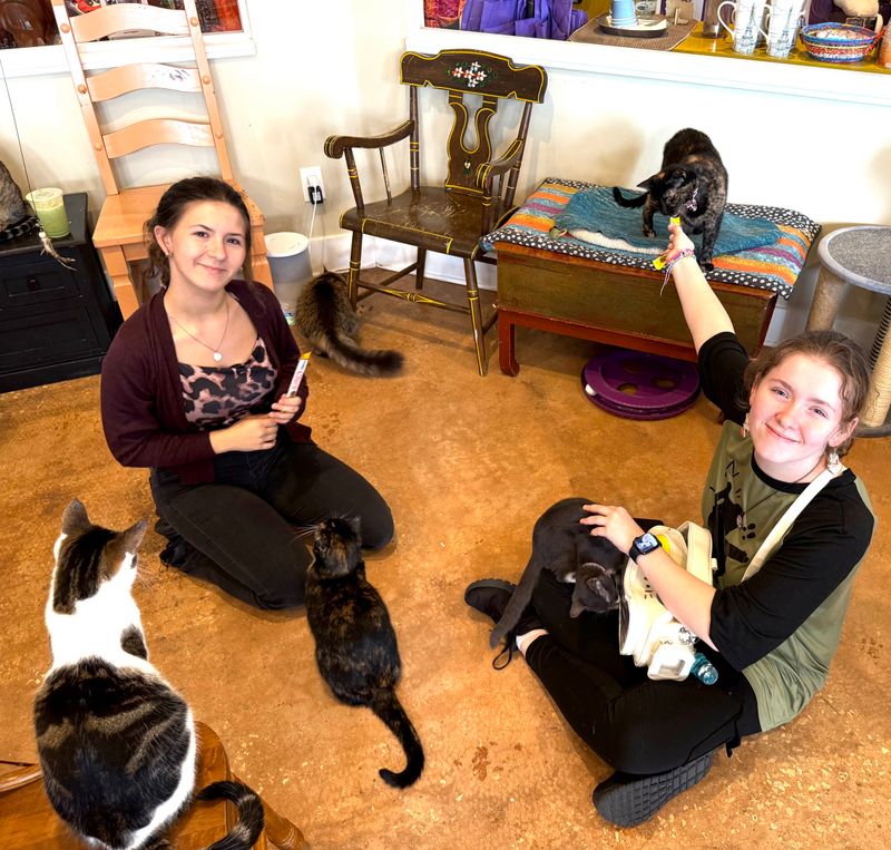 Respect The Whiskers