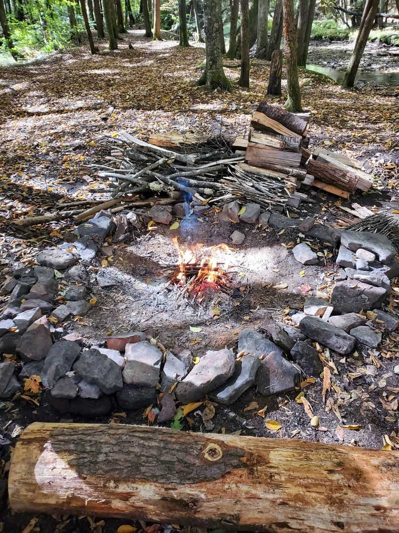 Hickory Creek Wilderness (Allegheny National Forest)
