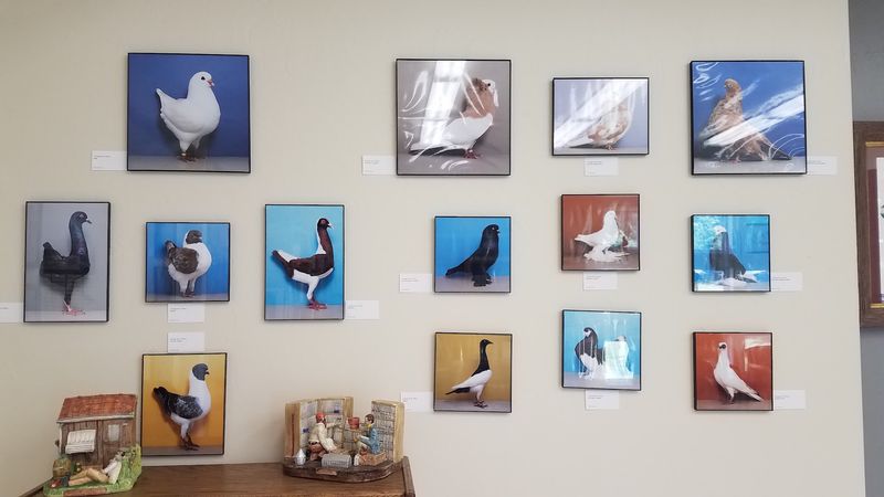 Why This Museum Stays With You Long After You Leave