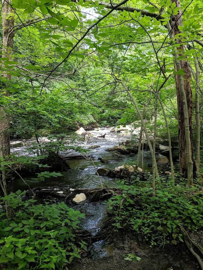 Walk the Black River County Park Trail