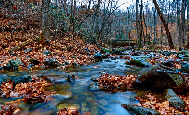 Best Seasons And Timing The Crowds