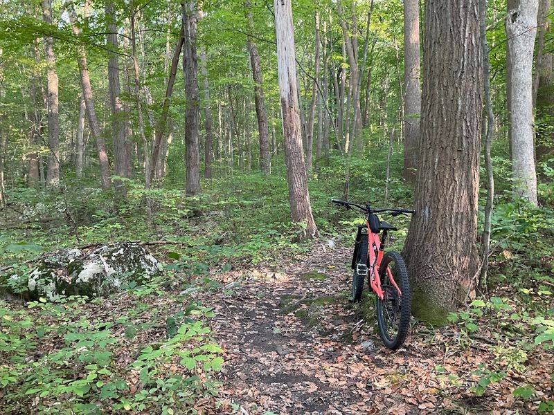 Mountain Biking That Goes Way Beyond Six Miles