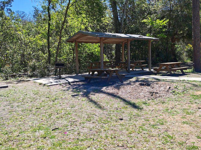 A Fitness Area and Playground You Did Not Expect