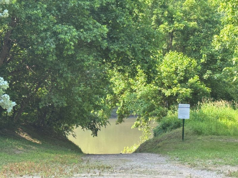 Soundtrack of a River Park