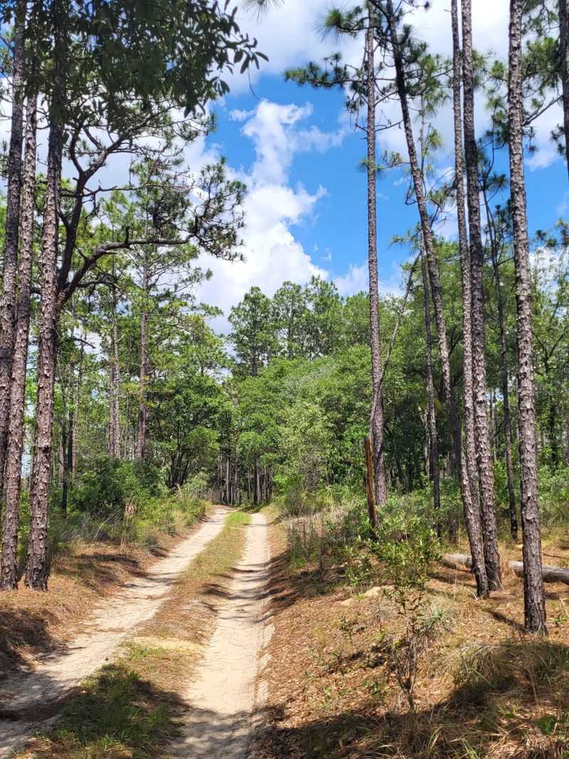 Sand To Stone: Texture Switch Underfoot