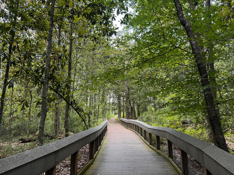 Paved Path of No Regrets