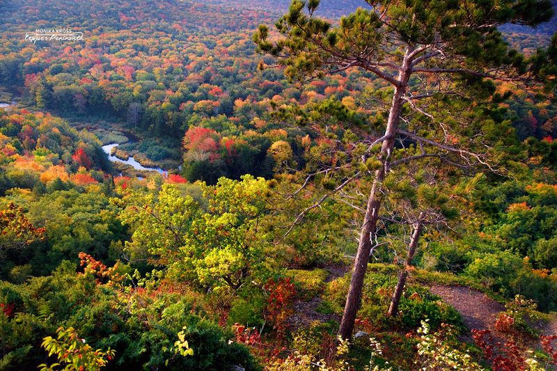 Seasons Paint the Valley