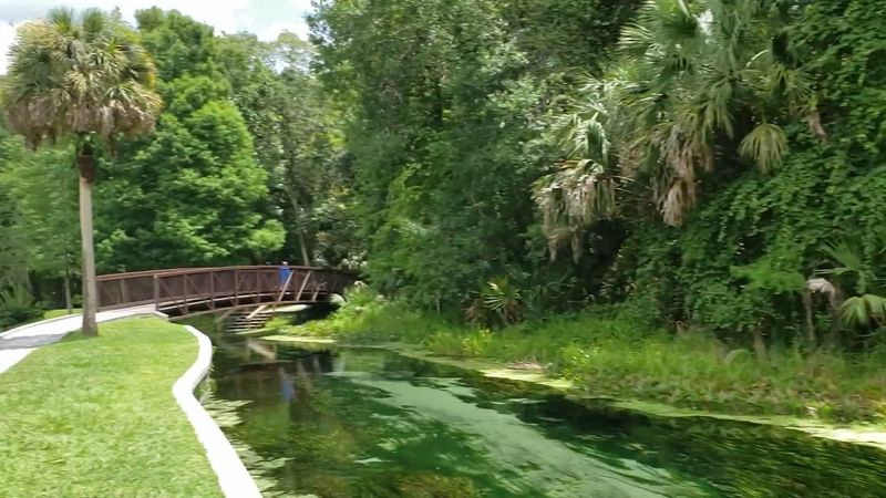 Camping Under the Stars at the Park