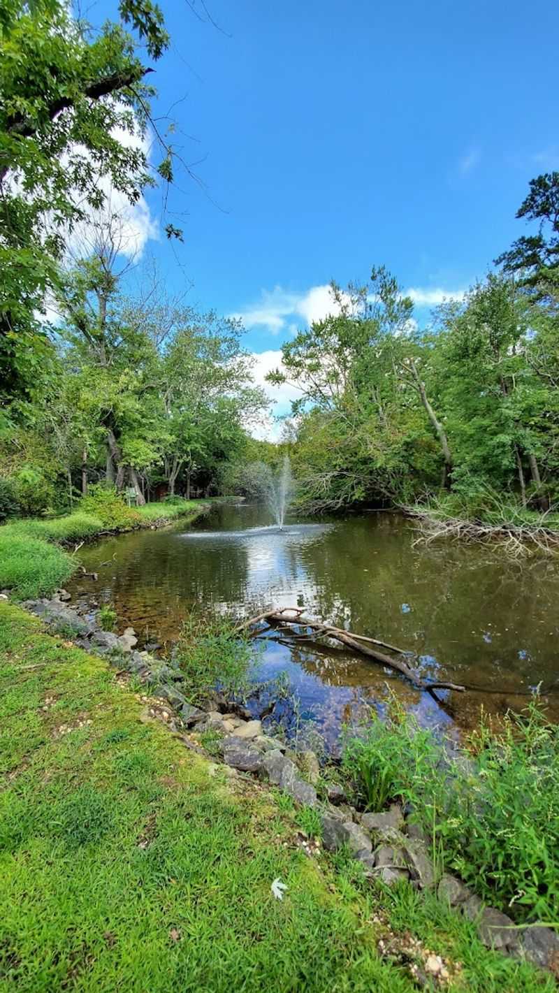 Natural Beauty And The South Jersey Landscape
