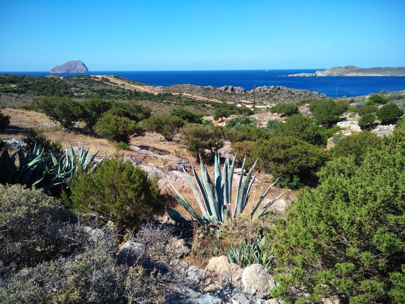 Healthcare and services are limited (plan for that up front)