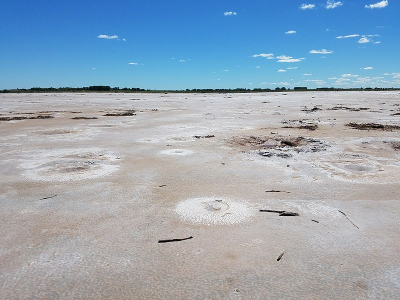 Great Salt Plains National Wildlife Refuge