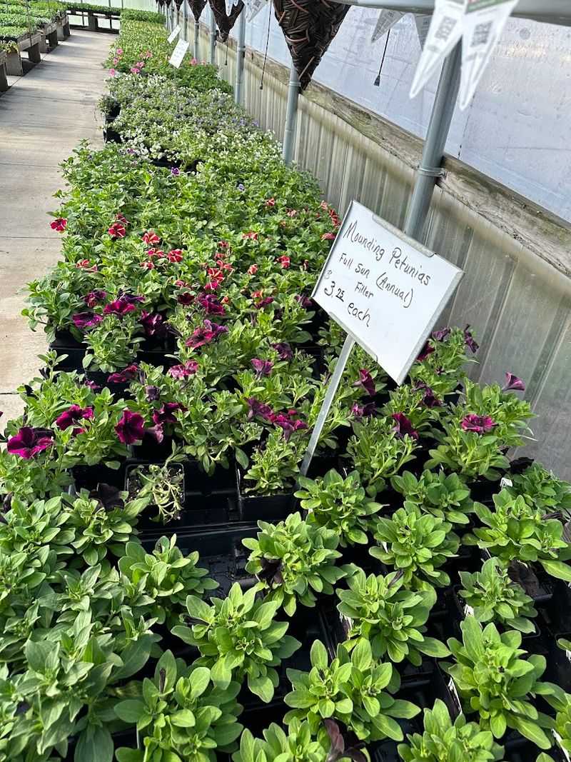 Why This Spot Has Earned Its Reputation