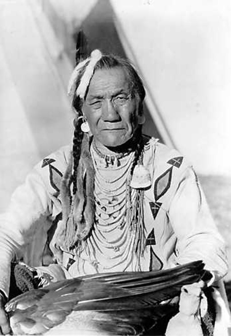 The Blackfeet Language Belongs to the Algonquian Family